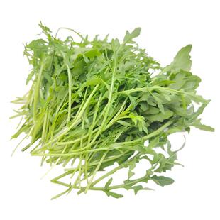 新鲜即食芝麻叶芝麻菜健身低脂火箭菜西餐蔬菜沙拉生吃菜食材包邮