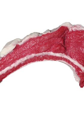 仿真排骨鱼肉食物模型