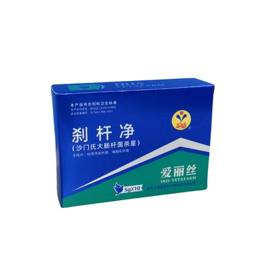 爱丽丝刹杆净赛鸽信鸽肠道
