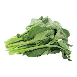 中花小芥兰蓝新鲜广东芥兰菜心蔬菜白灼多省包邮甜芥兰苗仔食用