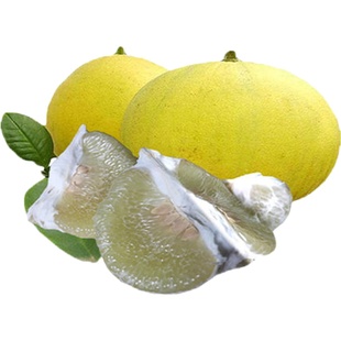 重庆梁平柚子平顶柚麻柚新鲜当季水果柚子正宗梁山柚带箱10斤现摘