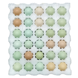 绿壳山鸡蛋60枚整箱生鸡蛋新鲜正宗农家散养土鸡蛋15枚初生乌鸡蛋