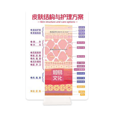 皮肤结构与护理方案亚克力展示牌美容几个面部美疗分层抗衰医患沟