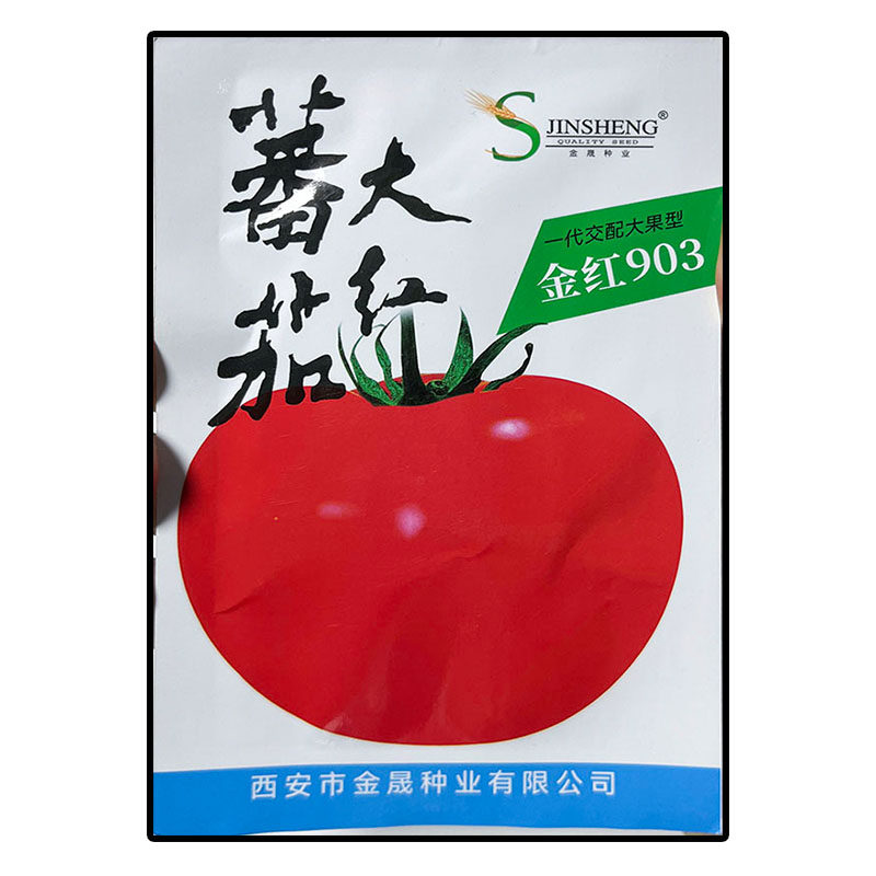 金红903大红番茄西红柿圆菜种子