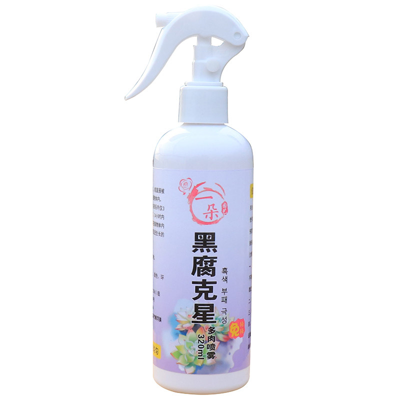 多肉掉叶子黑斑病黑腐化水白粉病