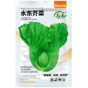 水东芥菜种子包心芥菜籽酸菜泡菜籽蔬菜种孑广东大叶芥菜大肉青菜