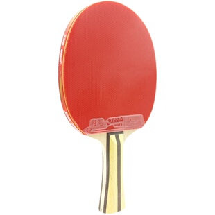 红双喜4星级T4002乒乓球拍双面反胶单支长柄横拍四星狂飙带拍套