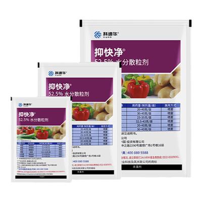 杜邦 科迪华抑快净恶唑菌酮霜脲氰葡萄黄瓜晚疫霜霉病农药杀菌剂