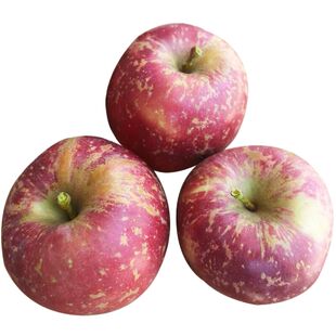 四川省凉山丑苹果盐源高山冰糖心红富士山地果泸沽湖福布瑞斯苹果