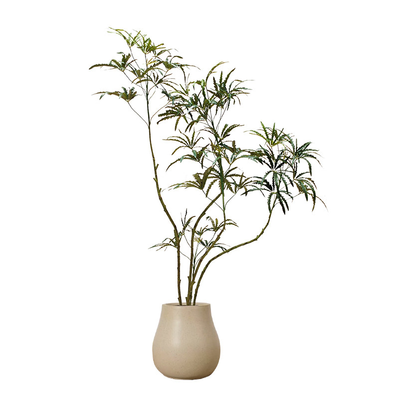 森空间孔雀木大型假树植物软装