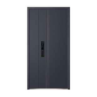 龙阳恒瑞钢断桥系统门可视对讲防盗入户门新款进户门超甲级钢质门