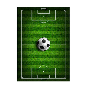 2026美加墨世界杯足球场游戏运动地毯儿童房家庭室内装饰背景地垫