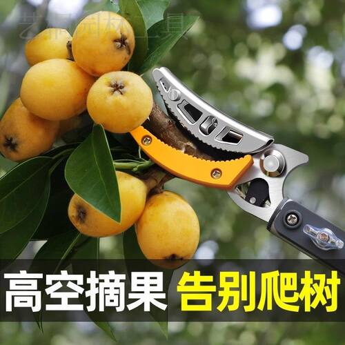 摘果神器新款高空采摘修枝剪龙眼高枝剪高空摘水果剪刀枇杷采摘器