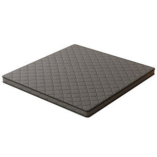 硬床垫椰棕黄麻加硬床垫护脊10厘米棕榈垫家用卧室席梦思加硬垫子