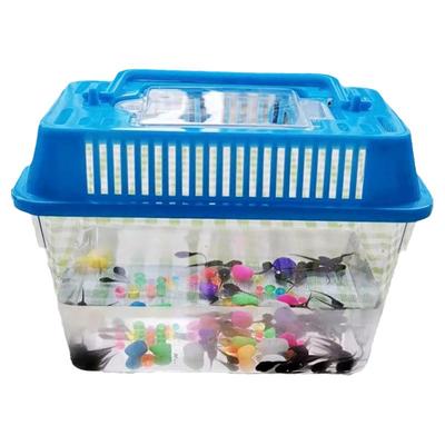 幼儿园观察小蝌蚪活物饲料套装