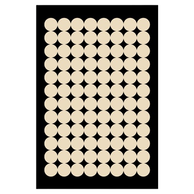 轻奢免洗防滑耐磨入户门地垫