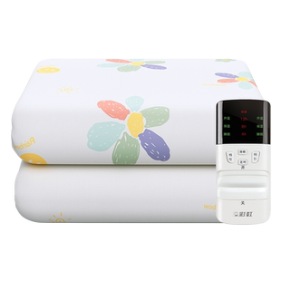 彩虹双人电热毯单人定时双控双温安全防水家用智能调温官方旗舰店