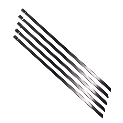 高标不锈钢防海水腐蚀塑料扎带