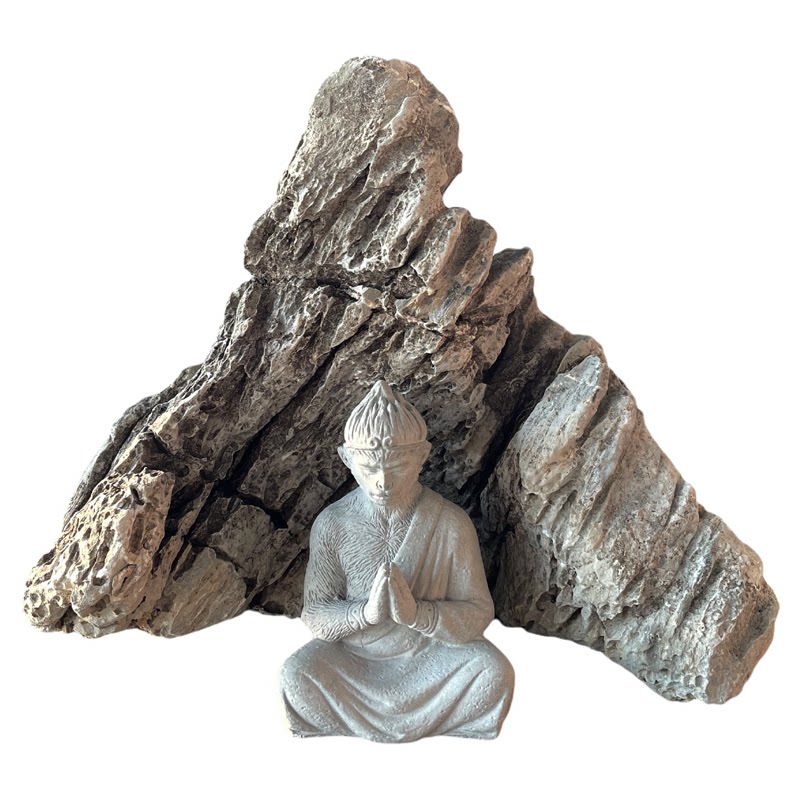 青龙石造景石一物一拍鱼缸石头