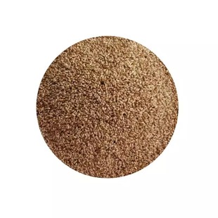 提摩西草种子提草梯牧草提木西草植物籽养兔牧草种子宠物口粮