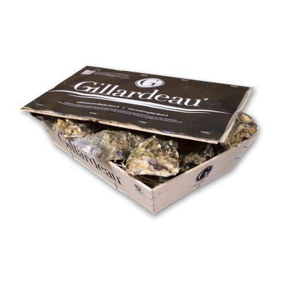 法国生蚝Gillardeau吉娜朵刺身