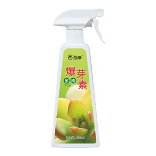 西海岸多肉优芽素专用爆芽促侧芽花卉植物营养液促芽催芽矮胖素