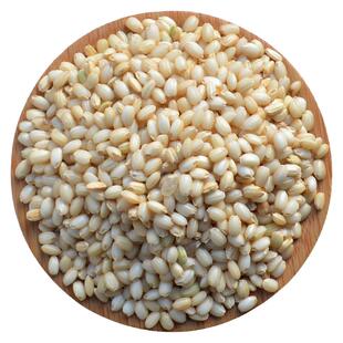 圆粒糙糯米糯糙米粗粮带皮糯米酿月子酒粘糯米包粽子 5斤10斤包邮