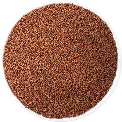 野生菟丝子中药材正品新货