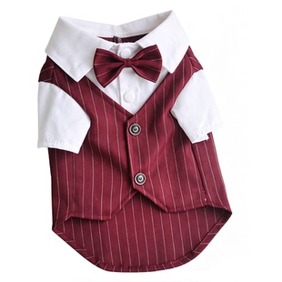 猫咪宠物服饰泰迪比熊小型犬狗狗衣服春秋季款西装礼服生日结婚服