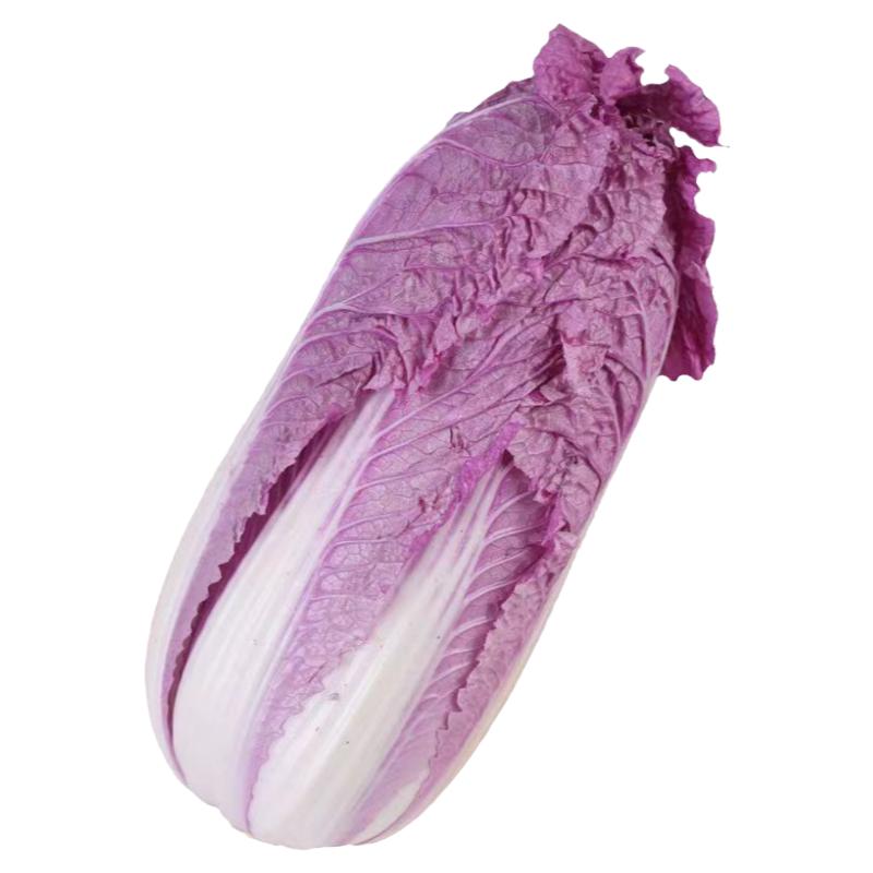 紫色白菜紫白菜爽脆多汁蔬菜沙拉