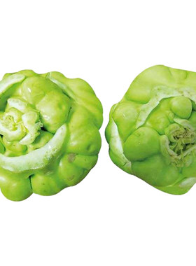 北方榨菜种子种籽南方光头芥菜种