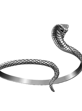 眼镜蛇手镯纯银男女同款戒指复古