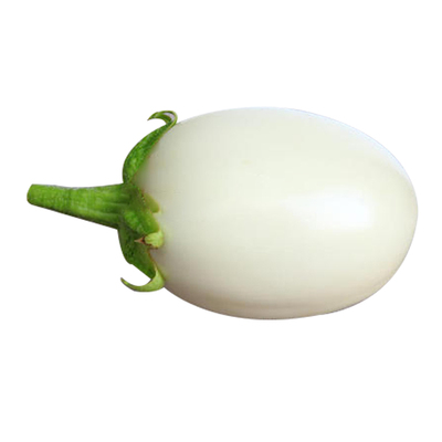 四季圆茄子白蔬菜孑秧种籽鸡蛋