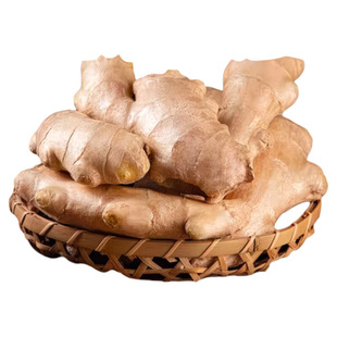 山东大姜优质生姜风干姜新鲜老黄姜3斤5斤包邮