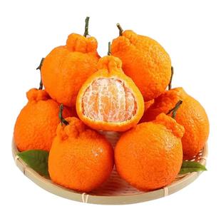 2025四川特级春见耙耙柑粑粑柑橘子甜当新鲜水果丑柑桔9斤包邮A