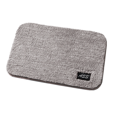 ASS地垫脚垫子加厚防滑吸水