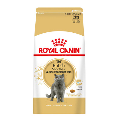皇家猫粮BS34美英国短毛布偶成猫
