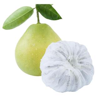 铜仁万山香柚贵州时令水果麻麻柚雪峰小苦柚孕妇水果老树白心柚子