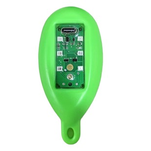 可视高灯浮漂水影高灯锚鱼夜视诱鱼超亮浑水专用不惊鱼水影浮球漂