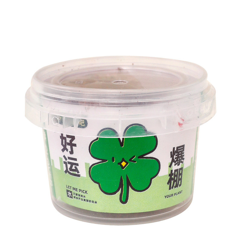 植物盲盒盆栽儿童生日礼物护眼