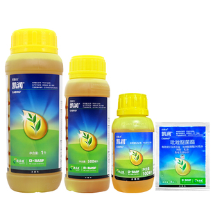 巴斯夫 凯润 吡唑醚菌酯嘧菌脂 蔬菜霜霉病白粉叶斑炭疽病杀菌剂