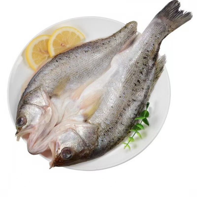 可味源七星海鲈鱼酒店腌制免杀三去海鲈鱼去鳞去内脏500g-600g/条
