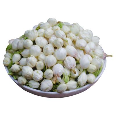 新鲜茉莉花2斤食用当季鲜花