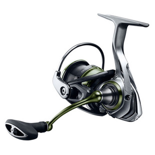 日本DAIWA达亿瓦卡迪亚CALDIA LT路亚纺车轮淡水海钓鱼轮路迪