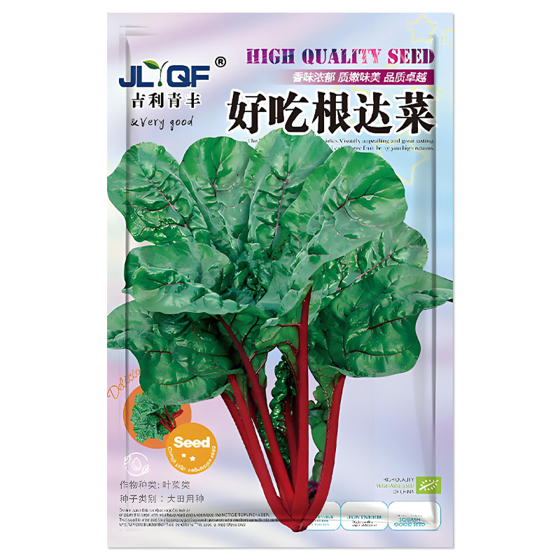 红根达菜种子蔬菜种子