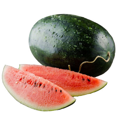 黑美人西瓜种子黑皮嫁接秧苗