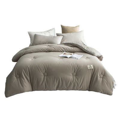 a类紫罗兰大豆加厚保暖被子抗菌