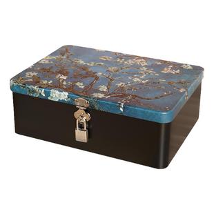 首饰储物盒上锁私密保险盒密码锁铁盒子小型化妆品整理收纳箱带锁