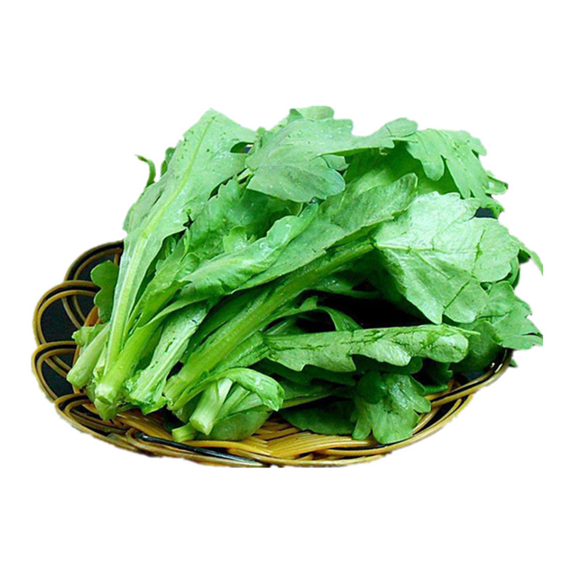 大叶茼蒿种子四季皇帝菜蓬蒿种籽火锅青菜籽耐寒季秋冬季蔬菜种孑