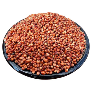 高粱酿酒专用高粱米新米红高粱带壳带皮高粱喂鸽子鸽用贵州红高粱